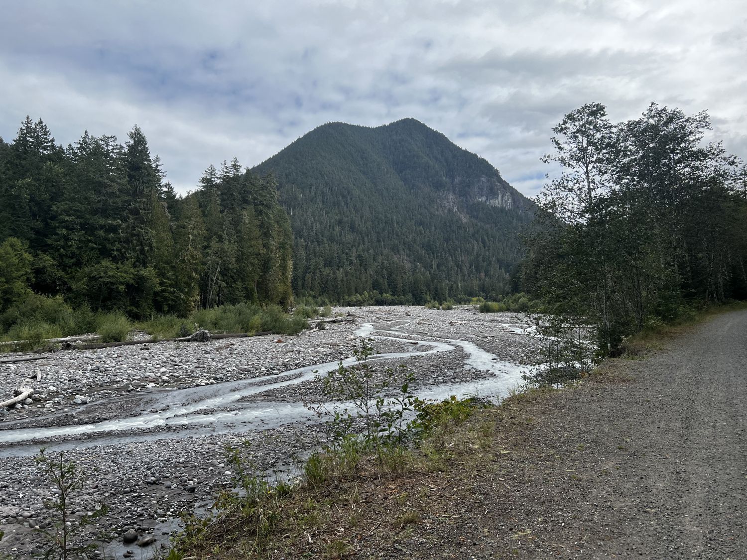 Mount Rainier NP 